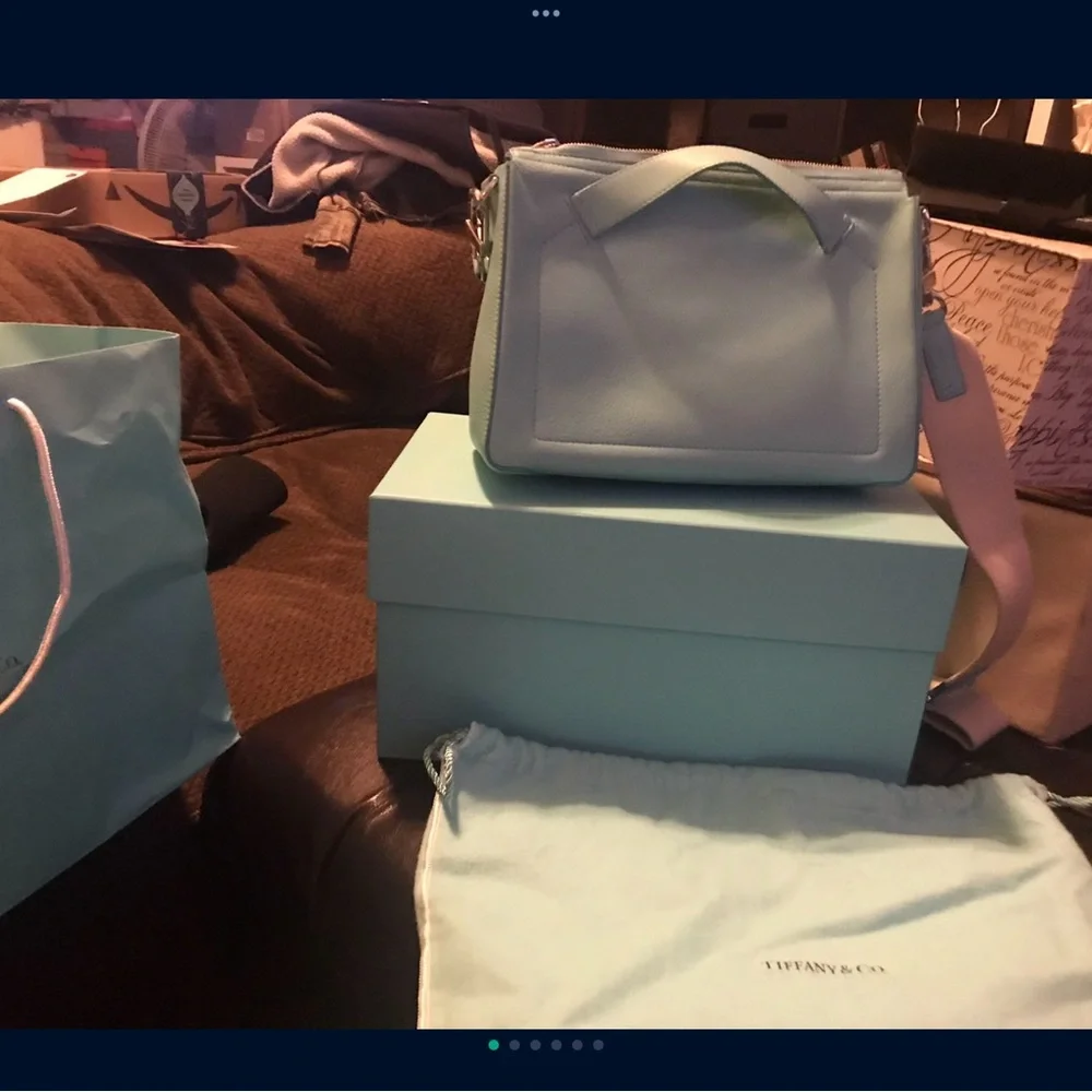 Tiffany Purse - Picture 5 of 6